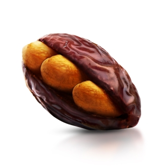 Royal Majhool Date Stuffed with Roasted Cashews