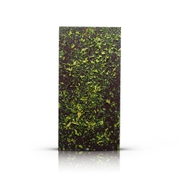 Dark Chocolate Tablet with Mint Leaves